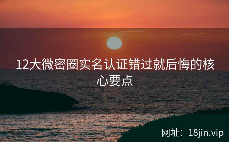 12大微密圈实名认证错过就后悔的核心要点